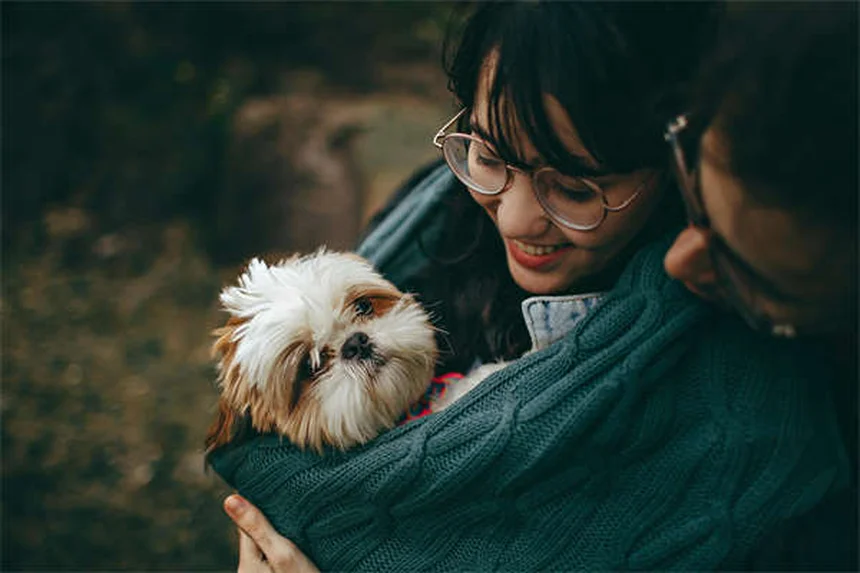 Come curare l'artrite nei gatti con la dieta: 5 soluzioni naturali